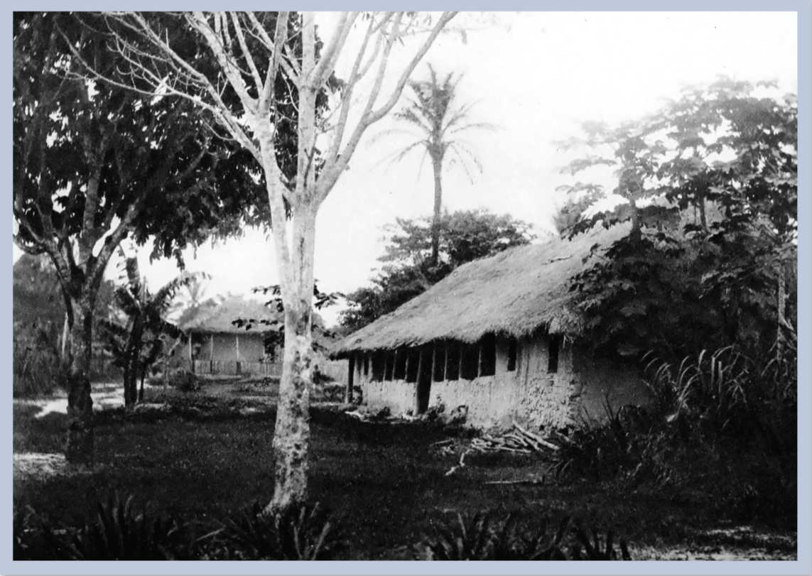 A building surrounded by trees and grass.