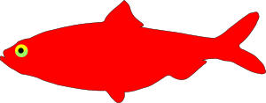 Red fish