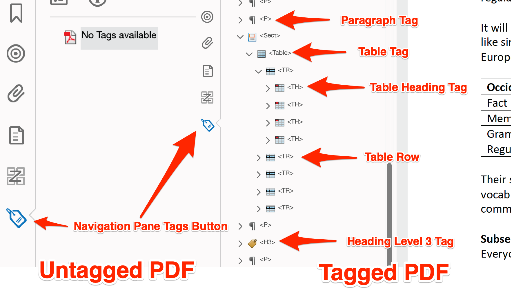An untagged document next to a tagged document.  The tagged document highlights paragraph tags, table tags, and heading tags.