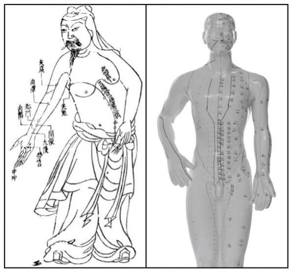 Figure 9.6 - Acupuncture Charts. Source: Image on the left from Wikimedia, http:// commons.wikimedia.org/wiki/File:Acupuncture_chart_300px.jpg. Image on the right © Thinkstock