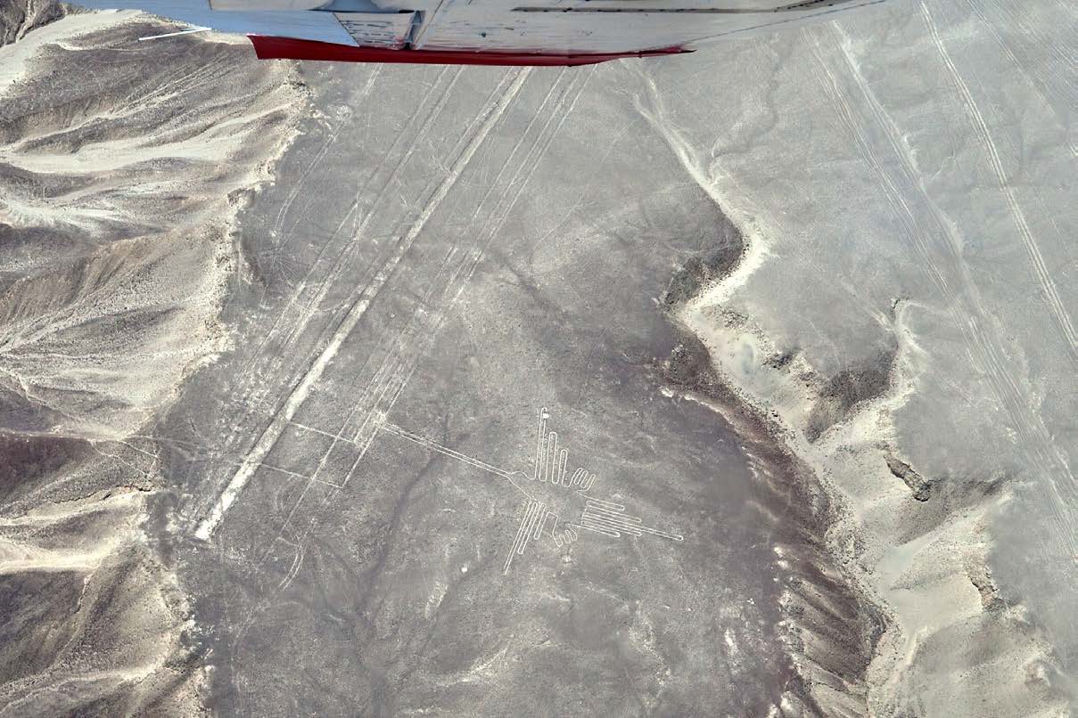 Nazca Lines Hummingbird