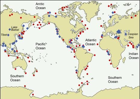 Map of the five oceans: Arctic, Pacific, Southern, Atlantic, and Indian. 