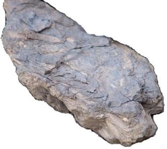 Lignite coal