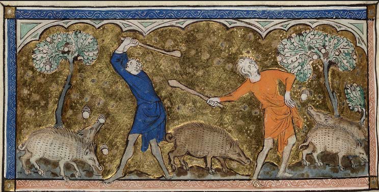 Peasants Keeping Pigs