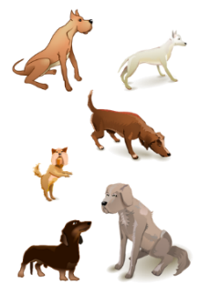 Six dogs.