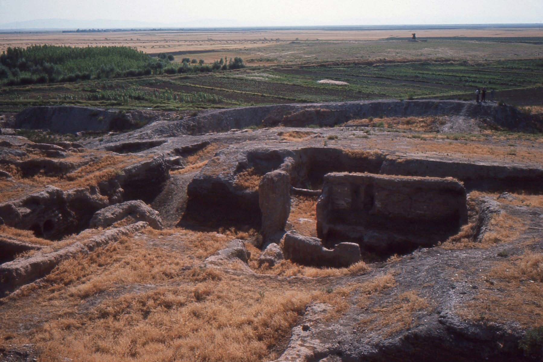 Stone remains of Çatalhüyük at the Time of the First Excavations.