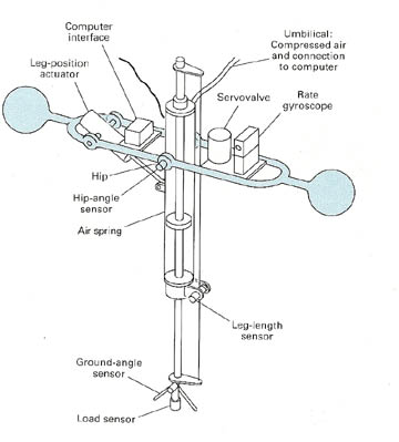 Two-dimensional hopping machine