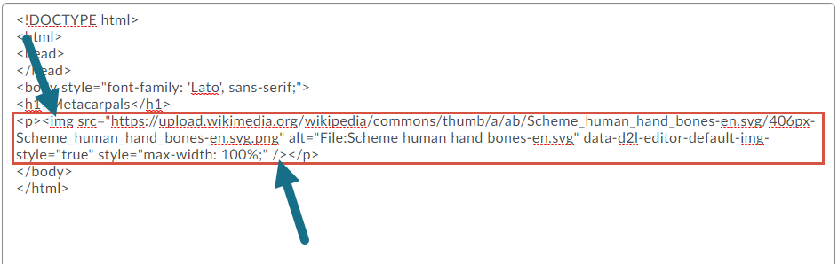 An HTML-based editor. The image tag is highlighted with arrows pointing to its beginning and end.