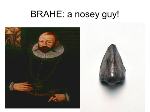 brahe's nose