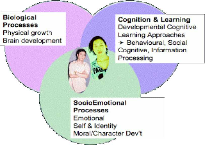 Educational Learning Theories OpenALG