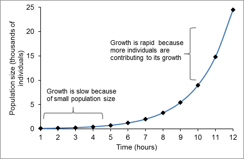 Population ecology - Logistic Growth, Carrying Capacity, Density-Dependent  Factors