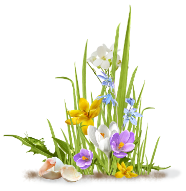 Clip art of Spring flowers blooming.