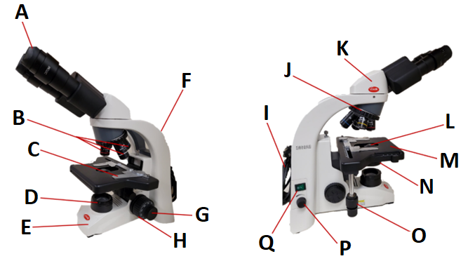 A close-up of a microscope with letters indicating the major parts of the microscope.