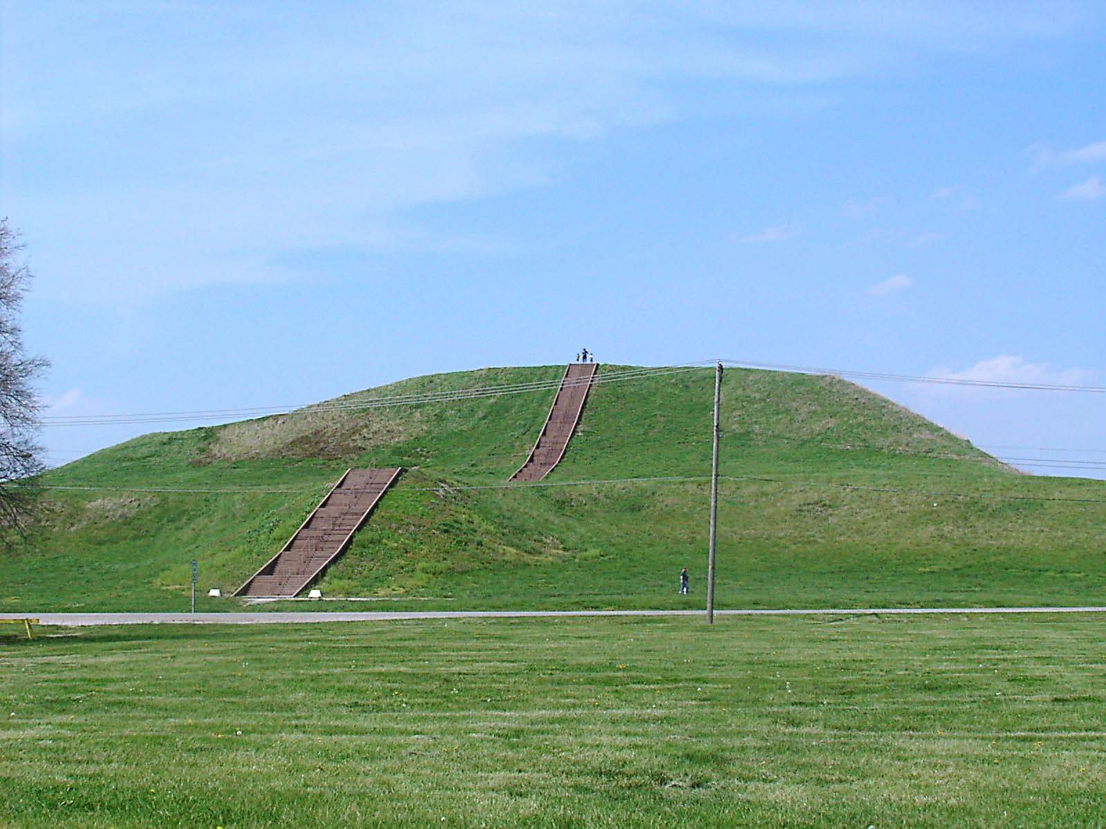 Figure 10.8 | Monks Mound in July