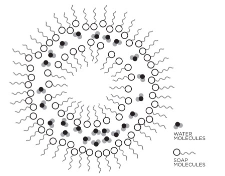 https://www.scienceworld.ca/resource/catch-bubble/