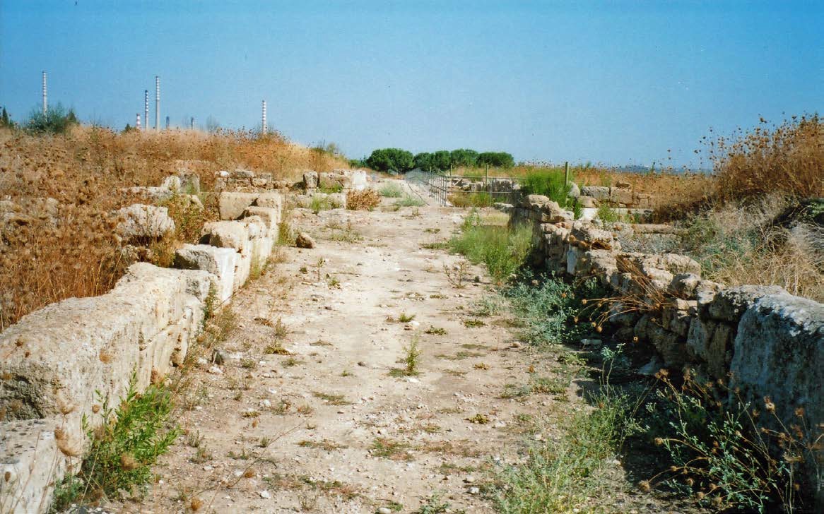 Megara Hyblaea, main road, looking north