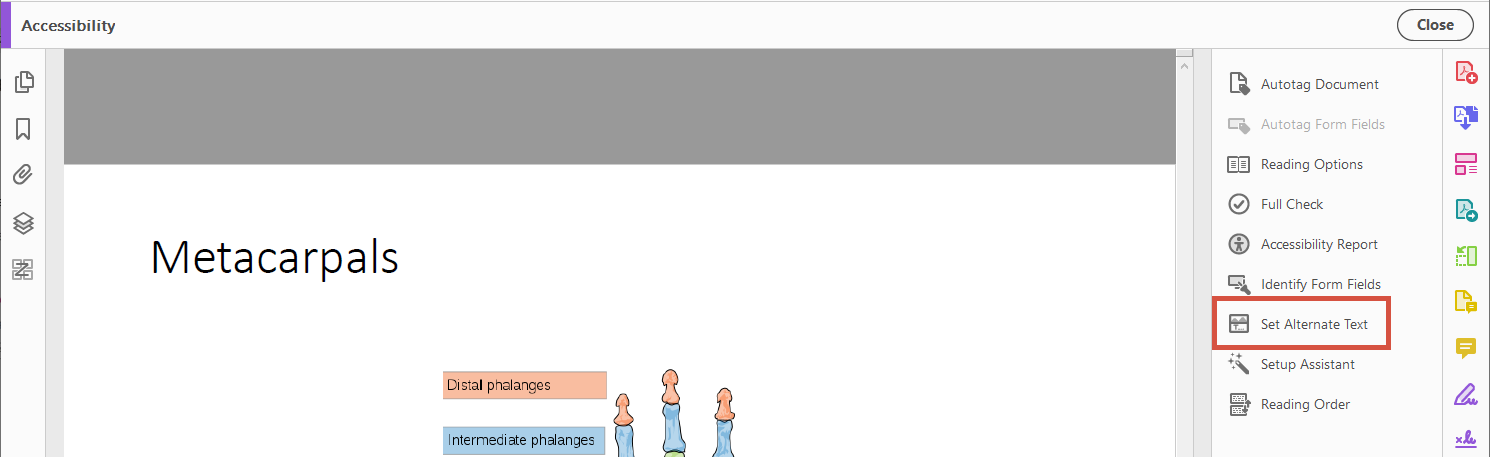 A PDF document opened in Adobe Acrobat with the Accessibility menu open. The Set Alternate Text option is highlighted.