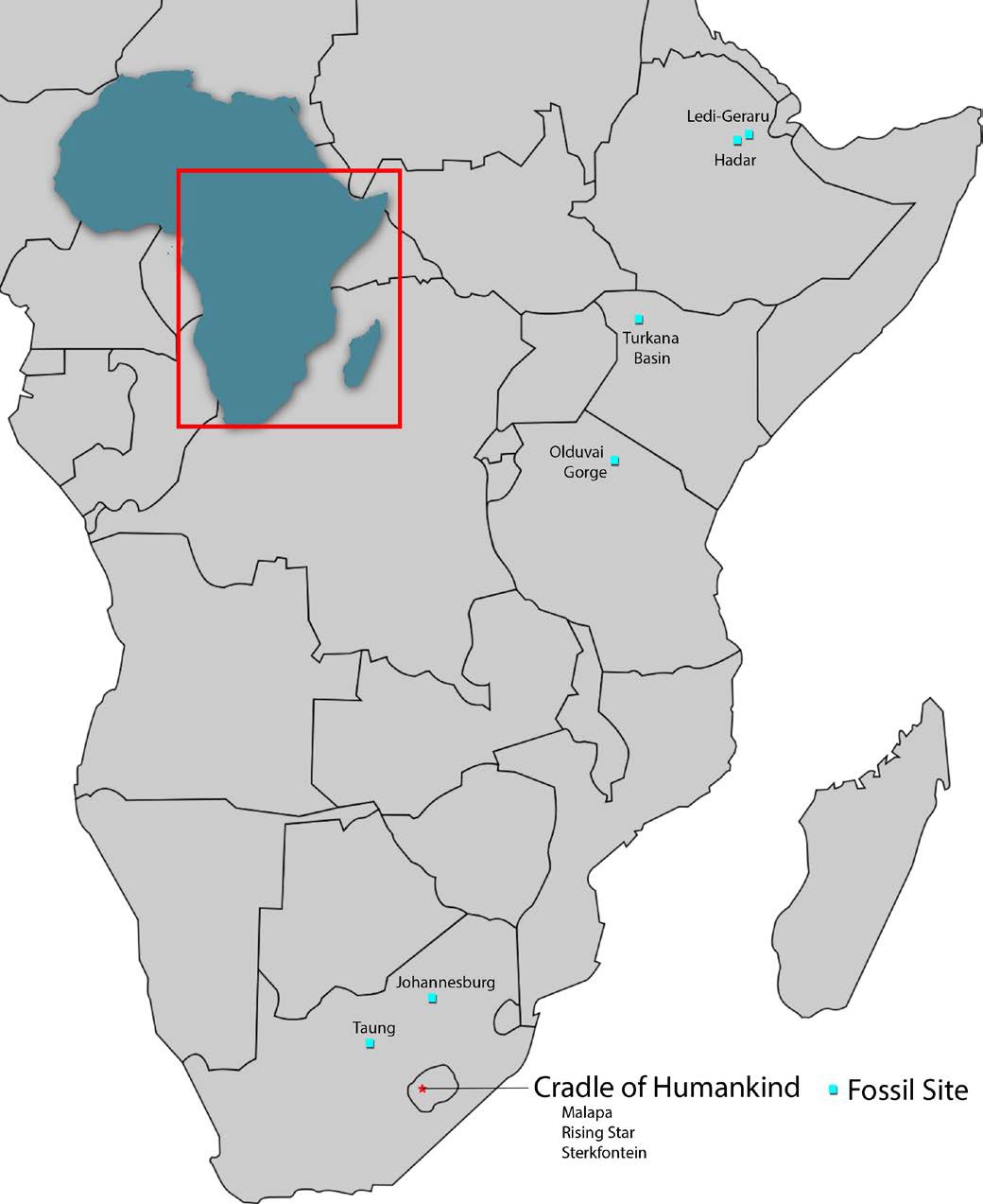 Map of Africa showing the early hominid fossil sites in Taung, Johannesburg, Ledi-Geraru, Hadar, Turkana Basin, Olduvai Gorge, and the Cradle of Humankind which includes Malapa, Rising Star, and Sterkfontein.