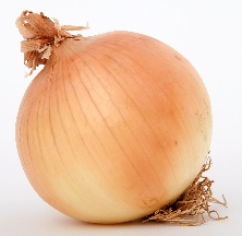 an onion