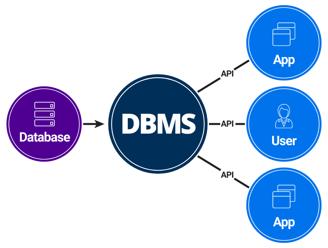 What Is Data Management System