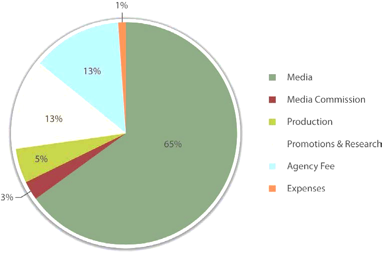 Description: http://images.flatworldknowledge.com/solomon/solomon-fig07_003.jpg
Media - 65%
Media Commission - 3%
Production - 5%
Promotions & Research - 13%
Agency Fee - 13%
Expenses - 1%