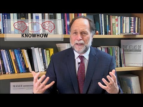 Thumbnail for the embedded element "What is knowhow?"