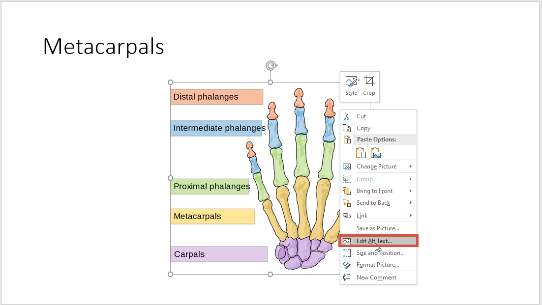 A PowerPoint slide. The right-click menu has been pulled up on an image and the Edit Alt Text option is highlighted.