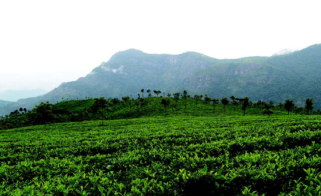 A picture containing mountain, grass, outdoor, sky Description automatically generated