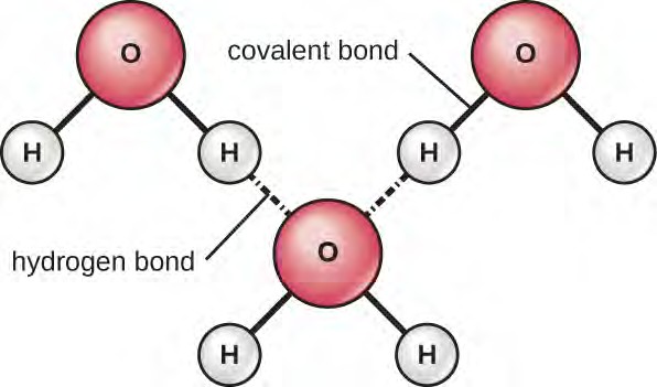 “Appendix A: Fundamentals of Physics and Chemistry” in “Part Four” on ...