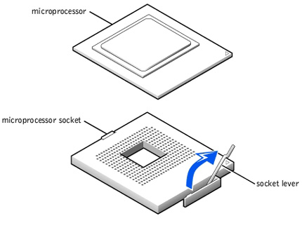 Example of a simplified, labeled diagram