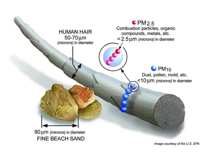 Graphic showing size comparison of particulate material (PM10 and PM2.5) compared to fine beach sand and human hair.