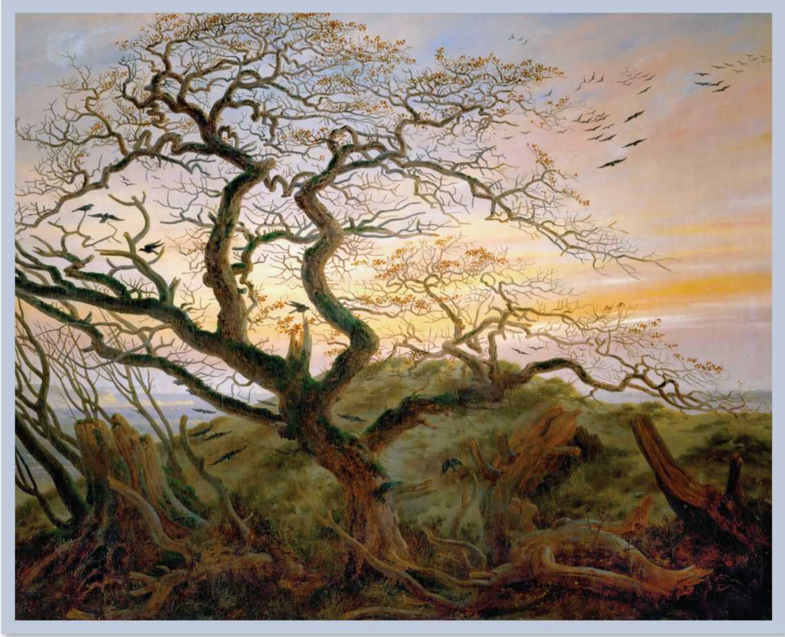 Trees with several branches.