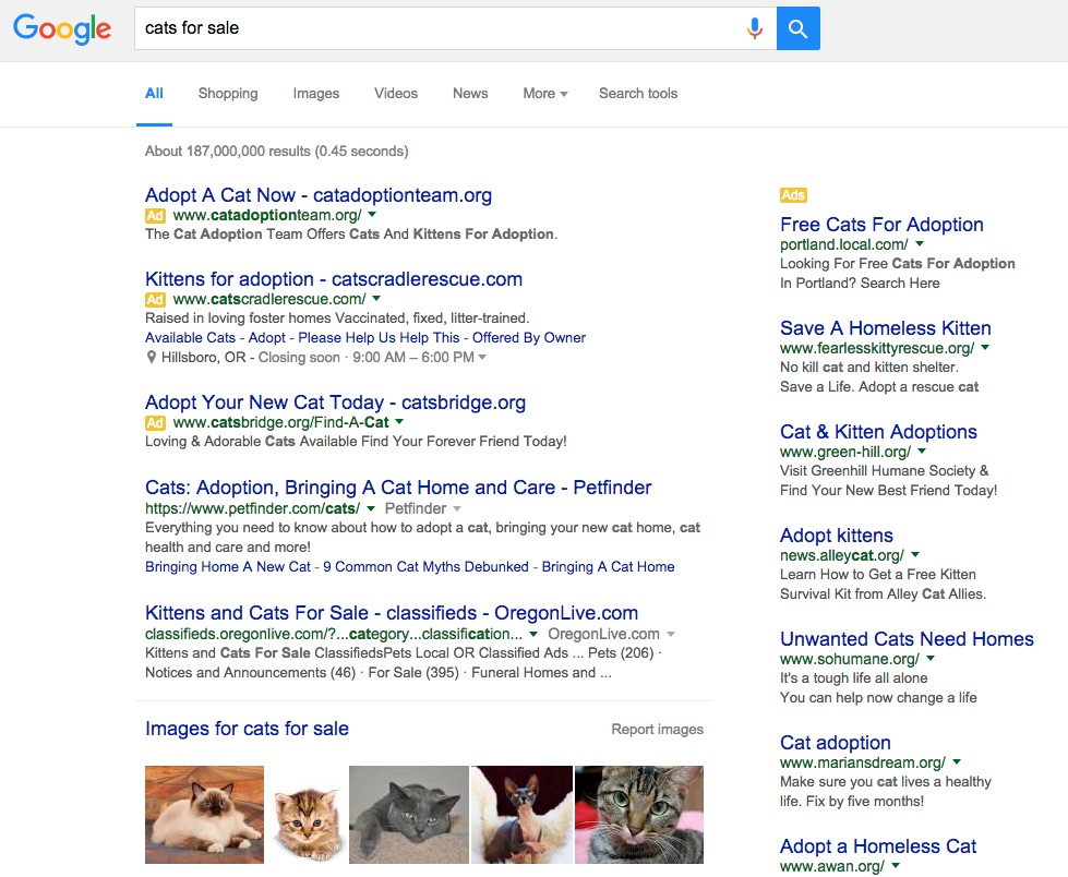 Screenshot of a Google search for the phrase "cats for sale." The Google results include various cat adoption websites and a selection of adorable cat pictures.
