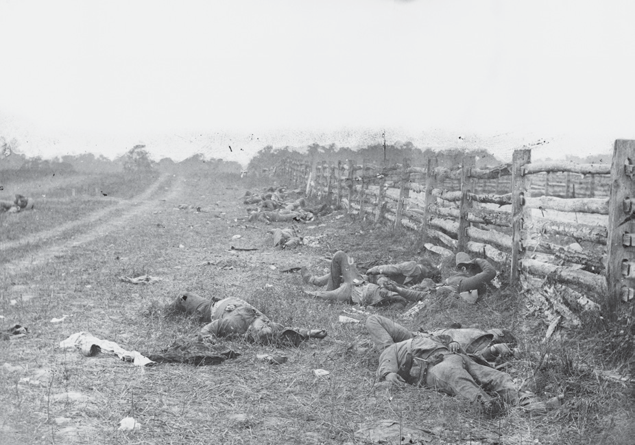 Photograph of bodies on the battlefield of Antietam during the American Civil War 