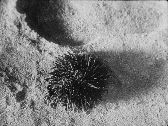 Un Chien Andalou 3
