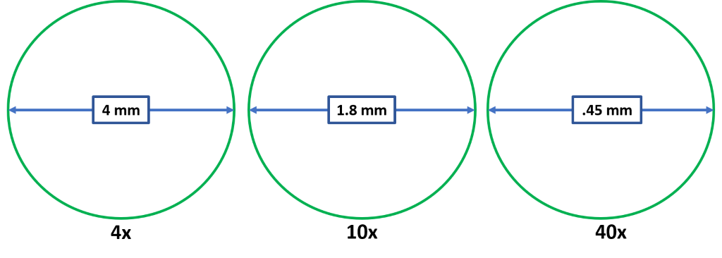 Three circles with a line in the middle to indicate the field of view from a 4X (4mm), 10X (1.8mm), and 40X (0.45mm) microscope objective.

