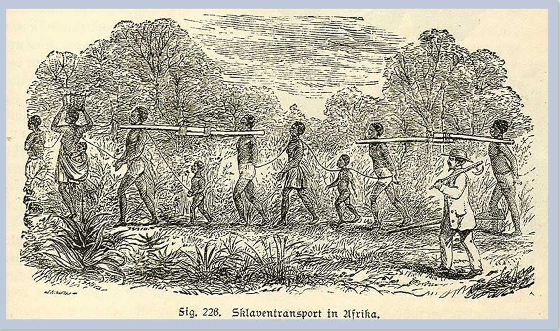 Slaves tied together by strings on a line and bound together by rods. A white man watches with a gun.