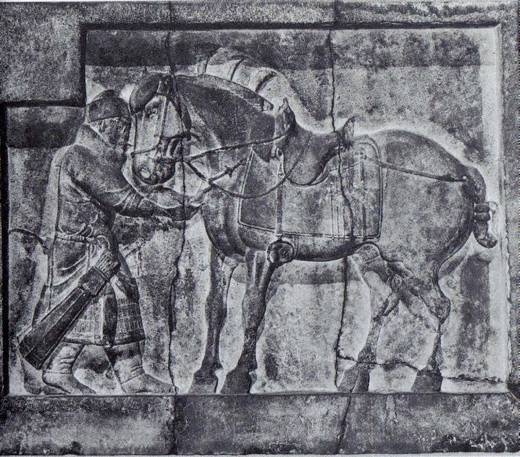 Relief of soldier and horse from the tomb of Emperor Taizong