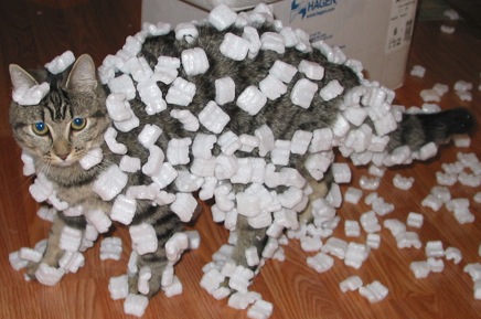 By Original image: Sean McGrath from Saint John, NB, CanadaDerived image: Black Rainbow 999 - Original image:
  Cooper and Styrofoam on Flickr, CC BY 2.0, https://commons.wikimedia.org/w/index.php?curid=60287175