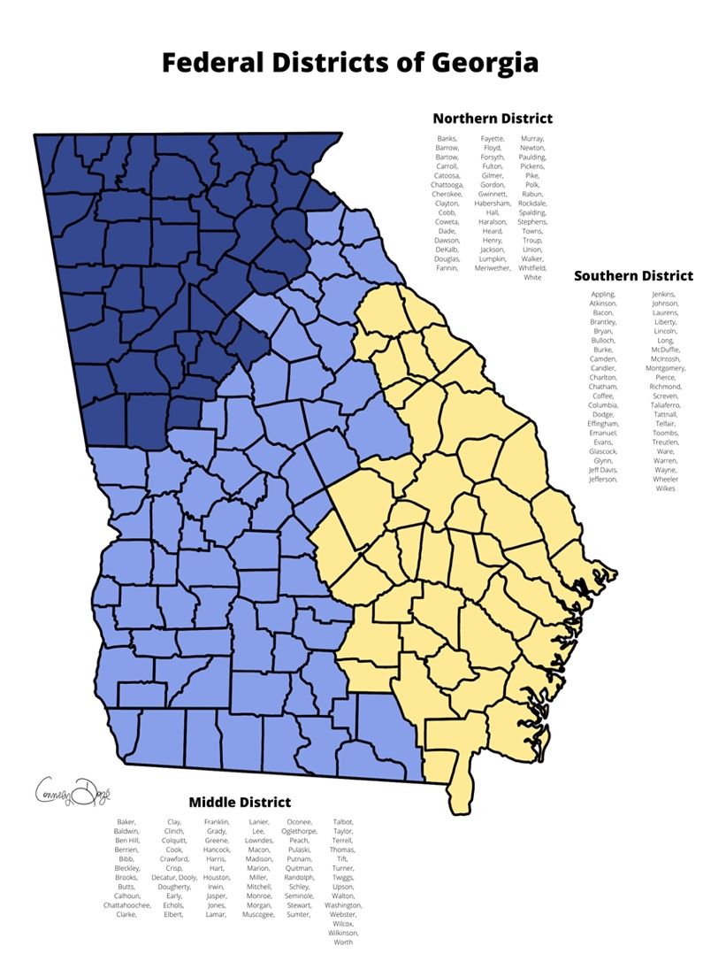 Graphic 4 - Georgia counties divided into federal district courts
