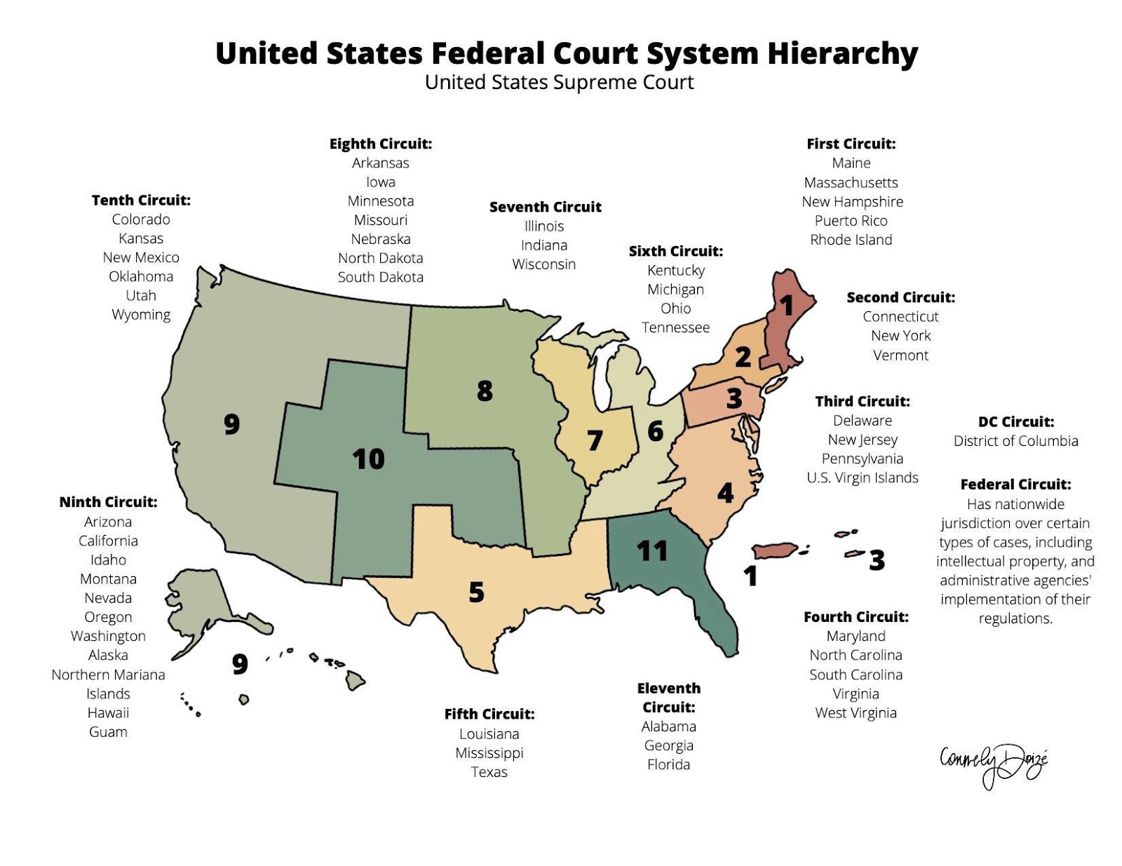 Diagram of a map of federal corut system hiearchy. Description to follow.