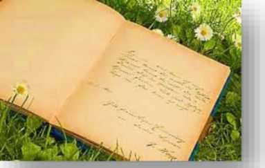 An open book in the grass.