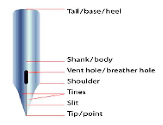 A calligraphic pen head. The point at the very top of the pen head is labeled tip/point, the split down the tip of the pen head is labeled slit, the area of the pen head around the split is labeled tines, the part of the pen head that widens at the end of the bottom of the tip is labeled shoulder, the hole at the end of the slit is labeled vent hold/breather hole, the leftover length of the pen head is labeled shank/body, and the very end of the pen head is labeled tail/base/heel.