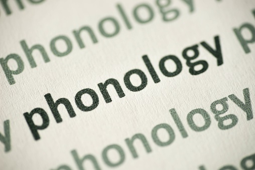 Phonology