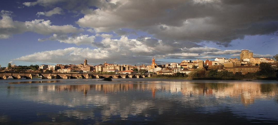 A city skyline