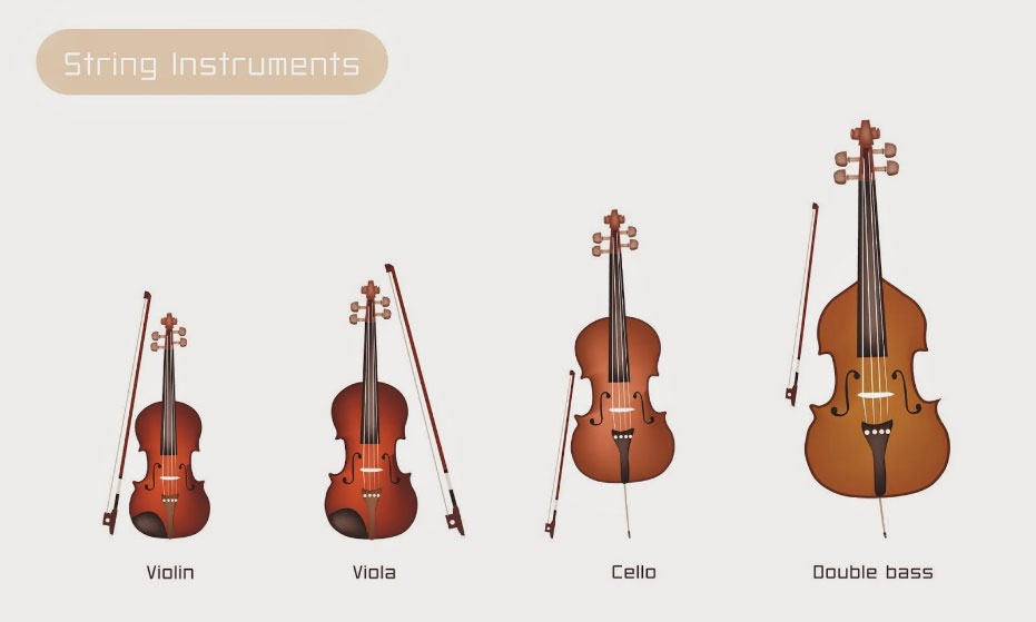 String instruments in on sale a symphony orchestra