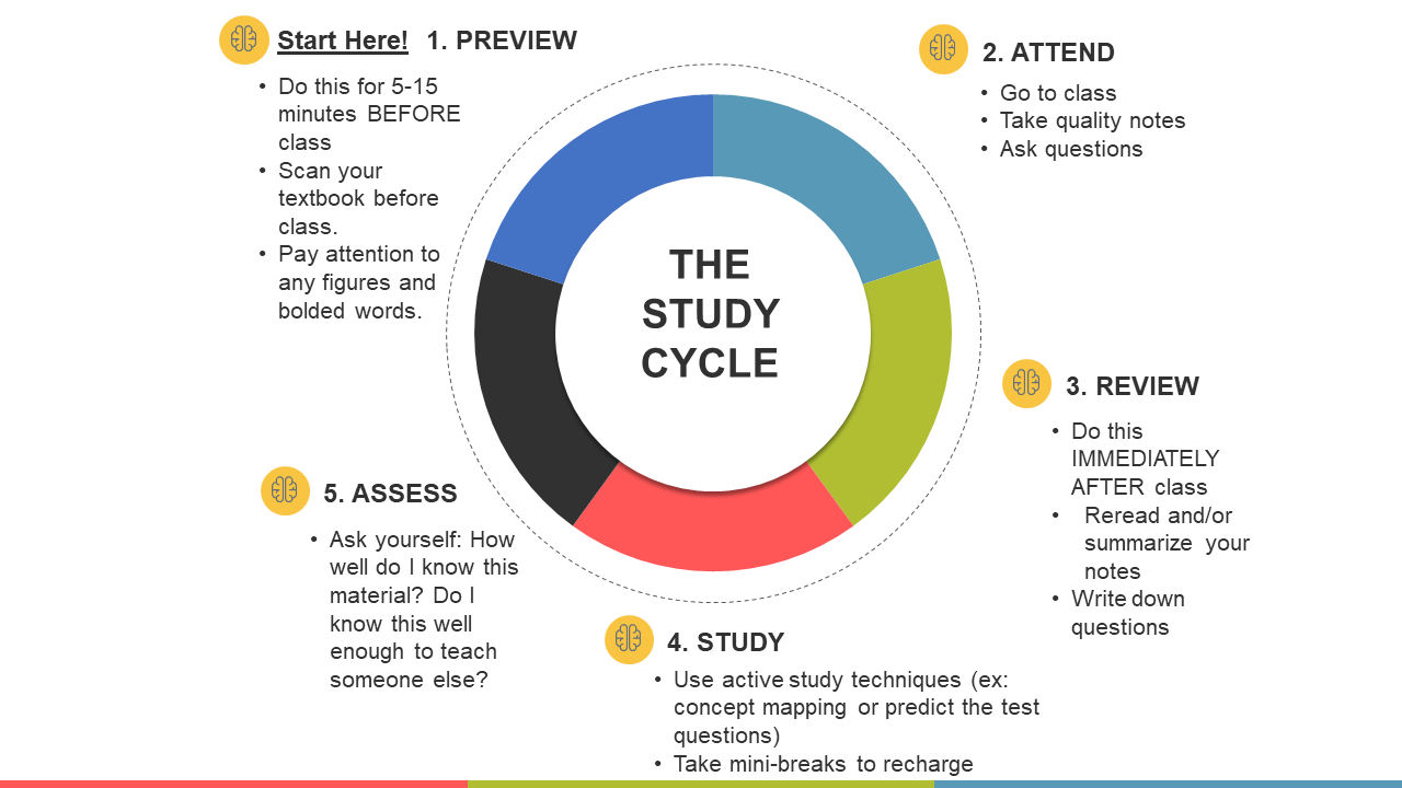 The Study Cycle as described in the previous section.