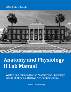 Cover of Anatomy and Physiology 2 Lab Manual